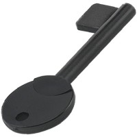 BG1 Series Spare Reset Key (BG1-KEY) BG1 Series Spare Reset Key (BG1-KEY)