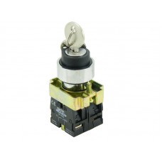 Panel / Enclosure mount 2 Position Key Switch Spring Return 1 x N.O Contact IKS-SR-2P-10 