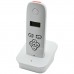 AES DECT 603-AB Wireless Audio Intercom System (Limited Offer - Free AX-S Keypad)