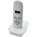 AES DECT 603-ASK Wireless Audio Intercom System (Limited Offer - Free AX-S Keypad)