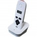 AES DECT 603 Modular Wireless Single Button Audio Intercoms