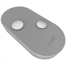 CAME TOPD2RGS 2 Channel Remote Control (806TS-0110)