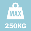 Max Gate Weight: 250 kg, 